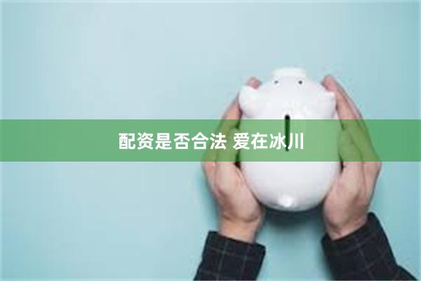 配资是否合法 爱在冰川