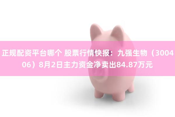 正规配资平台哪个 股票行情快报：九强生物（300406）8月2日主力资金净卖出84.87万元