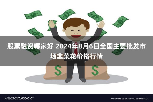 股票融资哪家好 2024年8月6日全国主要批发市场韭菜花价格行情