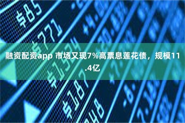 融资配资app 市场又现7%高票息莲花债，规模11.4亿