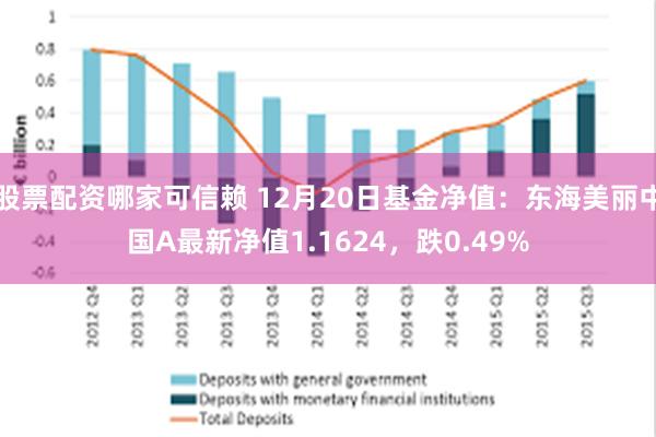 股票配资哪家可信赖 12月20日基金净值：东海美丽中国A最新净值1.1624，跌0.49%