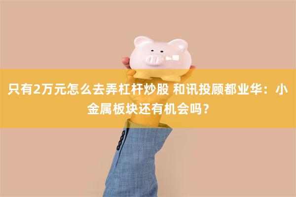 只有2万元怎么去弄杠杆炒股 和讯投顾都业华：小金属板块还有机会吗？