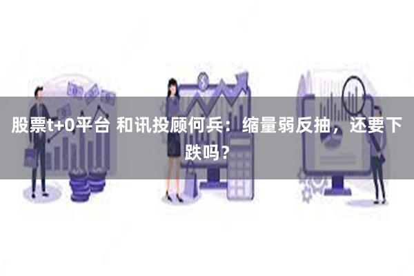 股票t+0平台 和讯投顾何兵：缩量弱反抽，还要下跌吗？