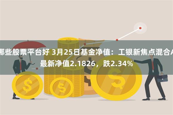 哪些股票平台好 3月25日基金净值：工银新焦点混合A最新净值2.1826，跌2.34%