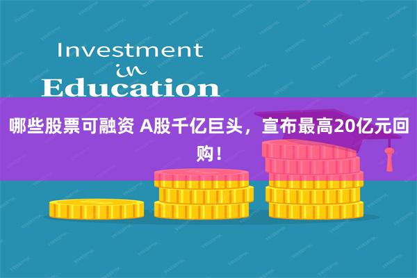 哪些股票可融资 A股千亿巨头，宣布最高20亿元回购！