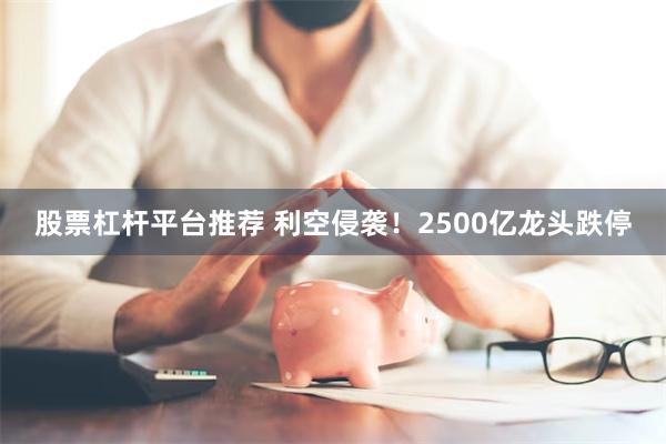 股票杠杆平台推荐 利空侵袭！2500亿龙头跌停
