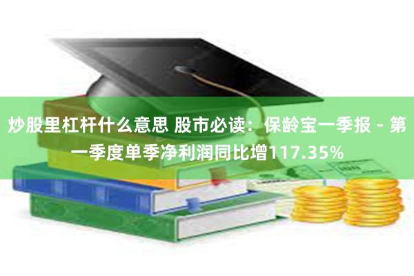 炒股里杠杆什么意思 股市必读：保龄宝一季报 - 第一季度单季净利润同比增117.35%