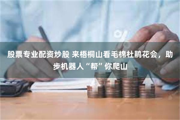 股票专业配资炒股 来梧桐山看毛棉杜鹃花会，助步机器人“帮”你爬山