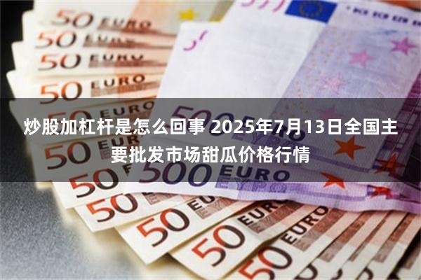 炒股加杠杆是怎么回事 2025年7月13日全国主要批发市场甜瓜价格行情