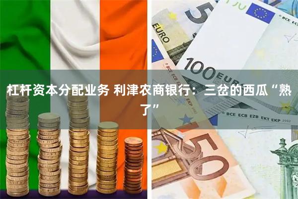 杠杆资本分配业务 利津农商银行：三岔的西瓜“熟了”