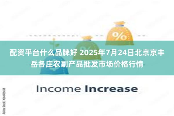 配资平台什么品牌好 2025年7月24日北京京丰岳各庄农副产品批发市场价格行情
