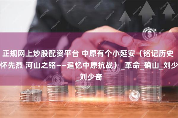 正规网上炒股配资平台 中原有个小延安(铭记历史 缅怀先烈 河山之铭——追忆中原抗战)_革命_确山_刘少奇