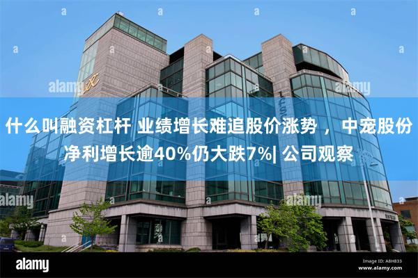 什么叫融资杠杆 业绩增长难追股价涨势 ，中宠股份净利增长逾40%仍大跌7%| 公司观察